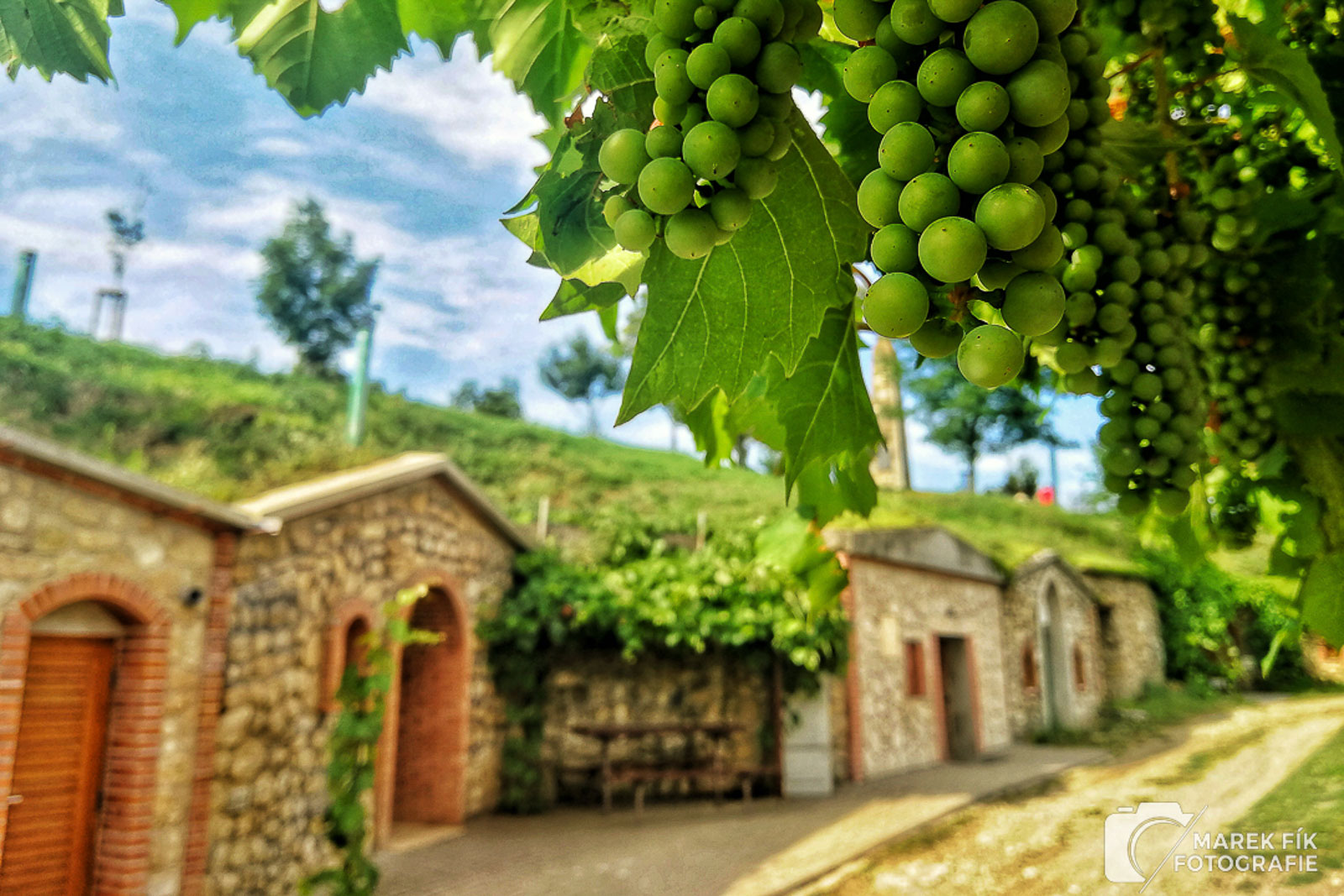 Vinné sklepy Vrbice