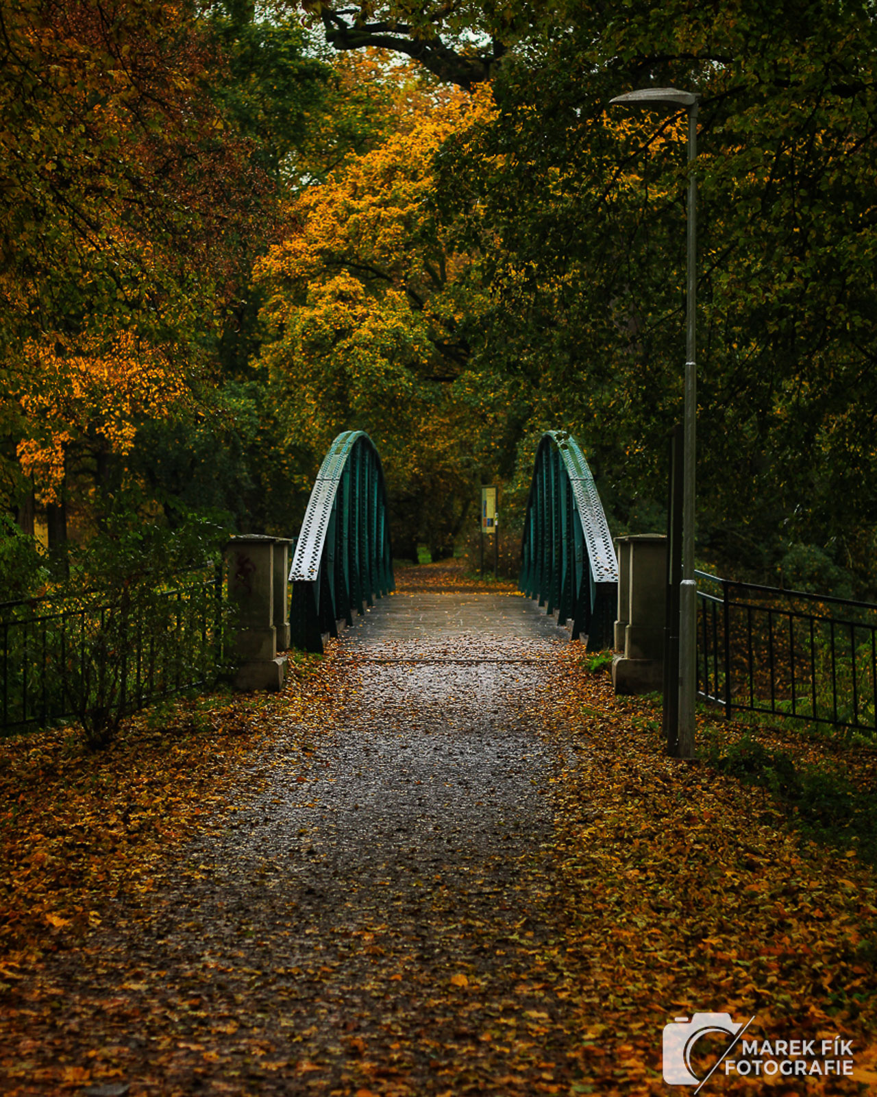 Podzimní fotografie