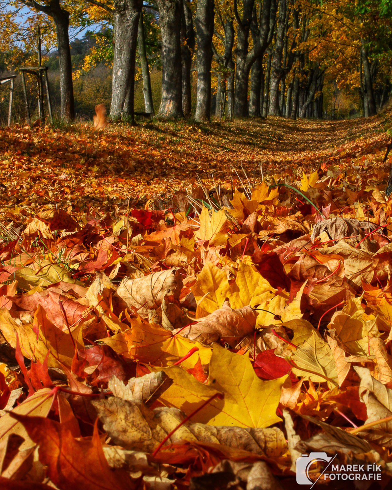 Podzimní fotografie