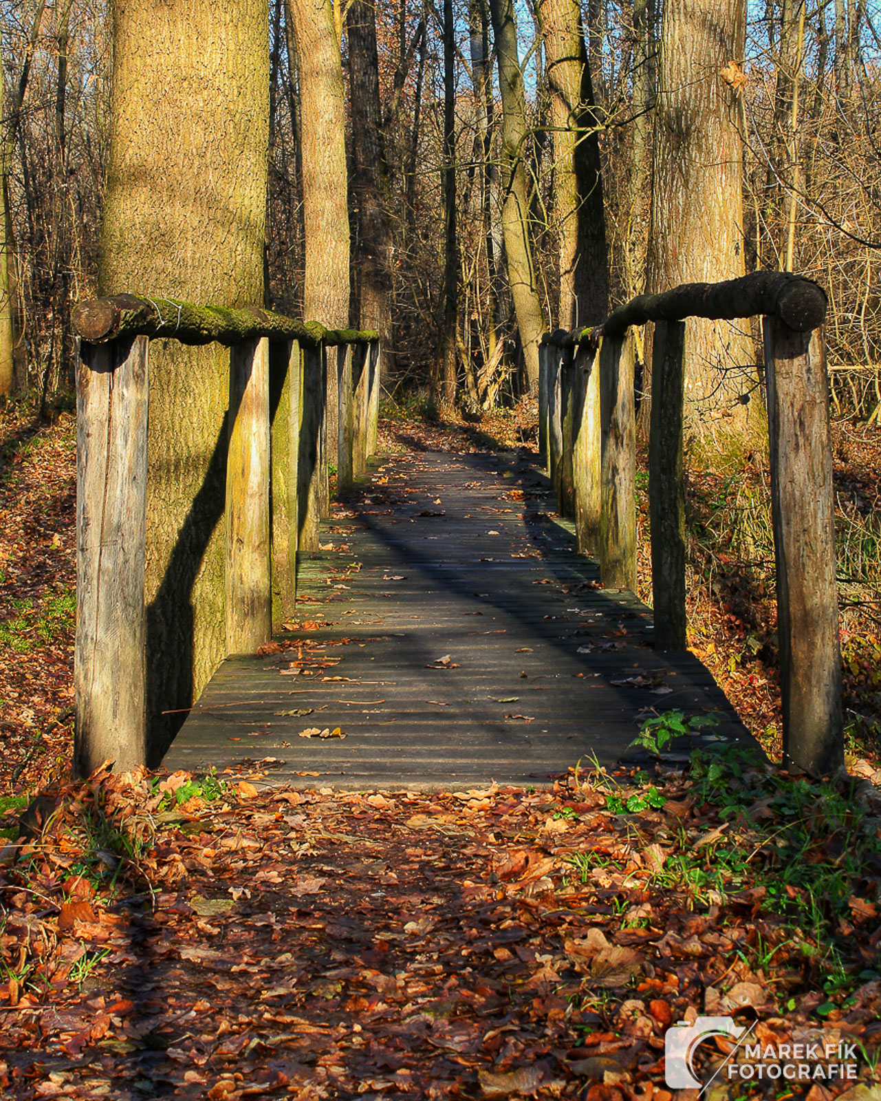 Podzimní fotografie