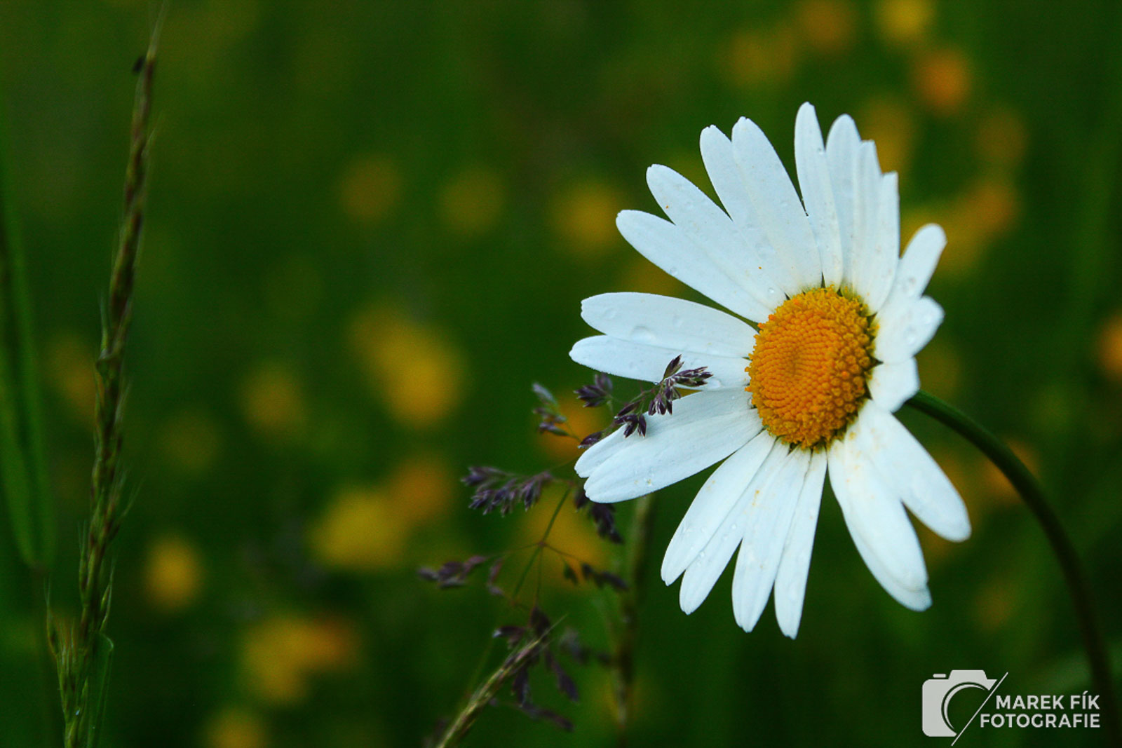 Krajinná fotografie v přirozeném světle - Marek Fík Fotografie