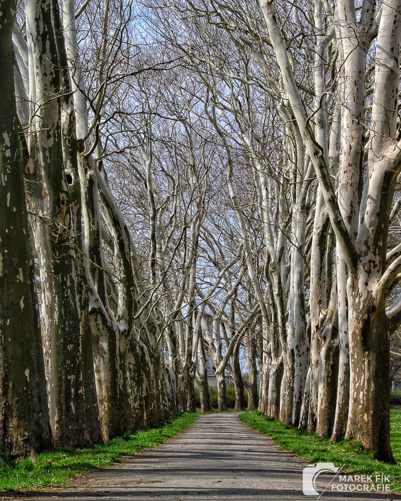 Zámecký park Strážnice - Marek Fík Fotografie